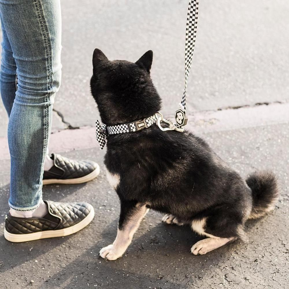 Checkerboard | Collar
